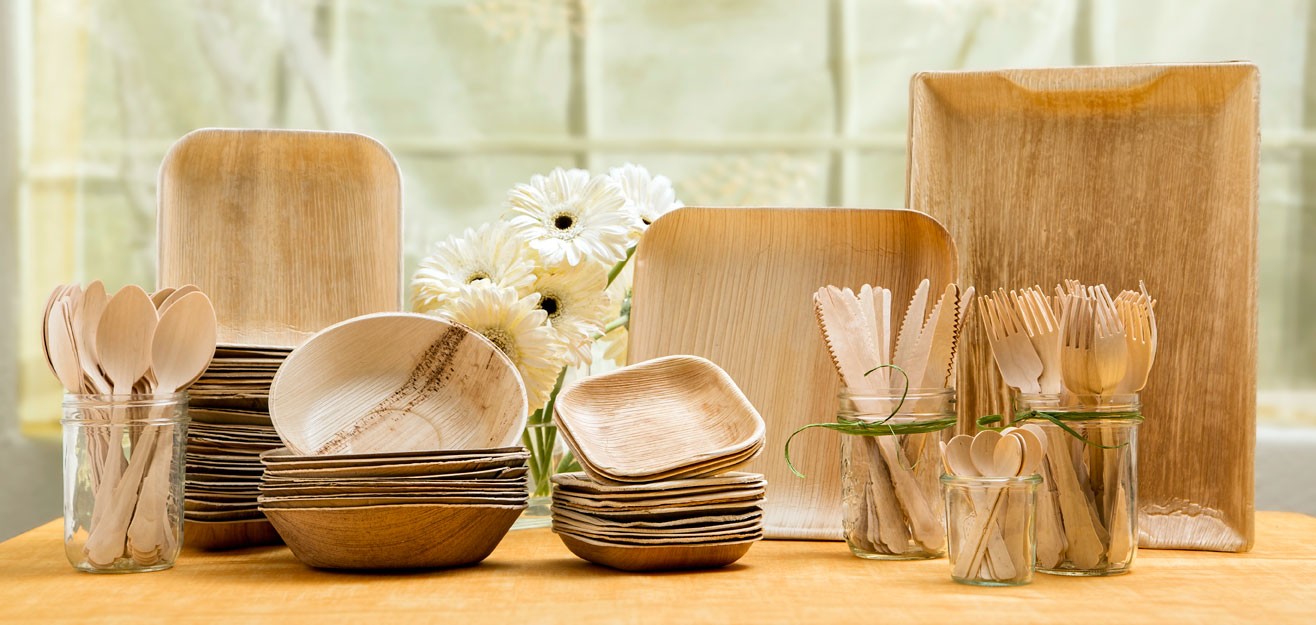 Biodegradable Plates and Spoons